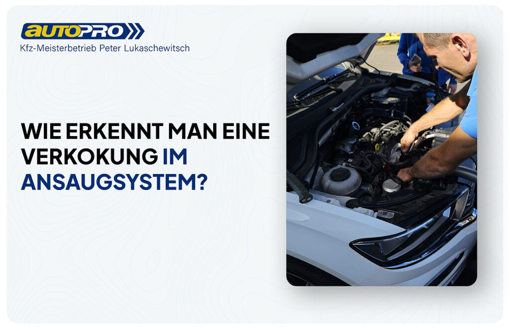 Walnussschalen-Reinigung